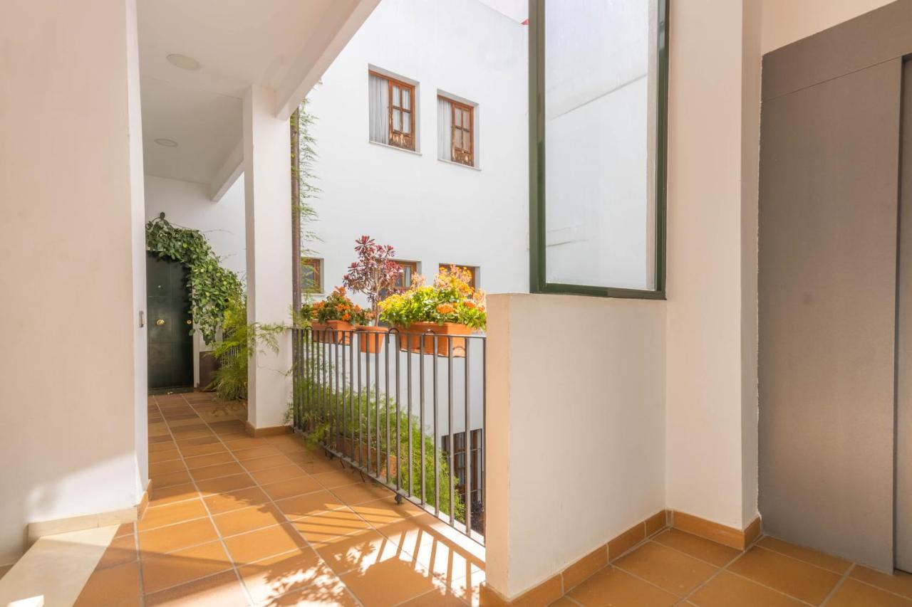 Apartamento Anais Centro Sevilla 外观 照片
